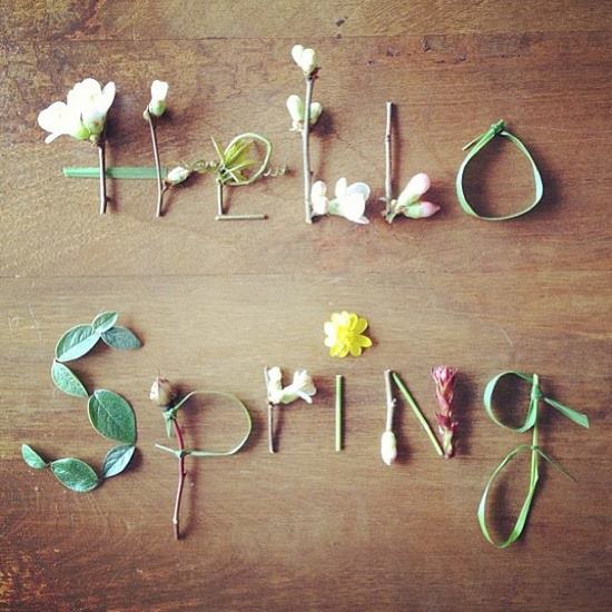 Bienvenida primavera
